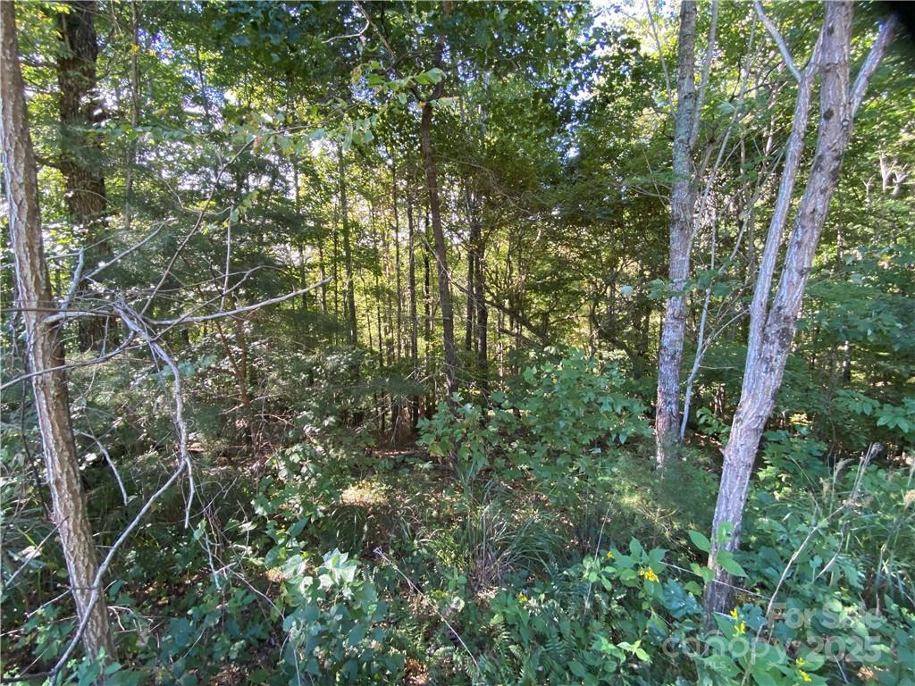 Blue Heron Point - Land