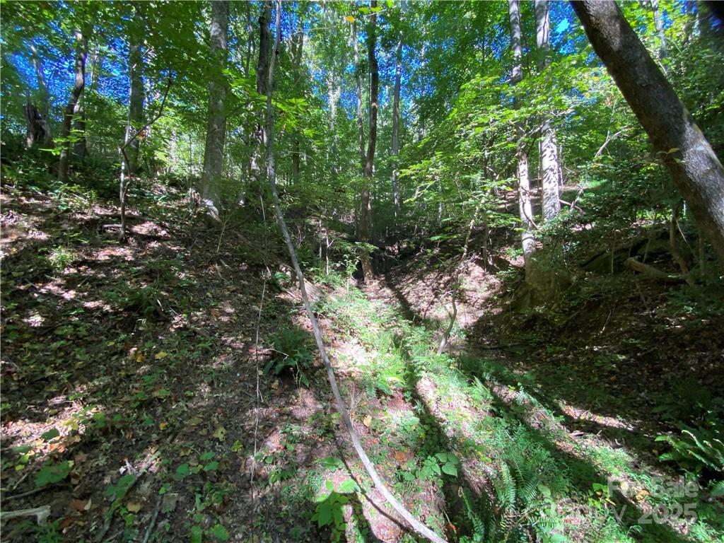 Blue Heron Point - Land