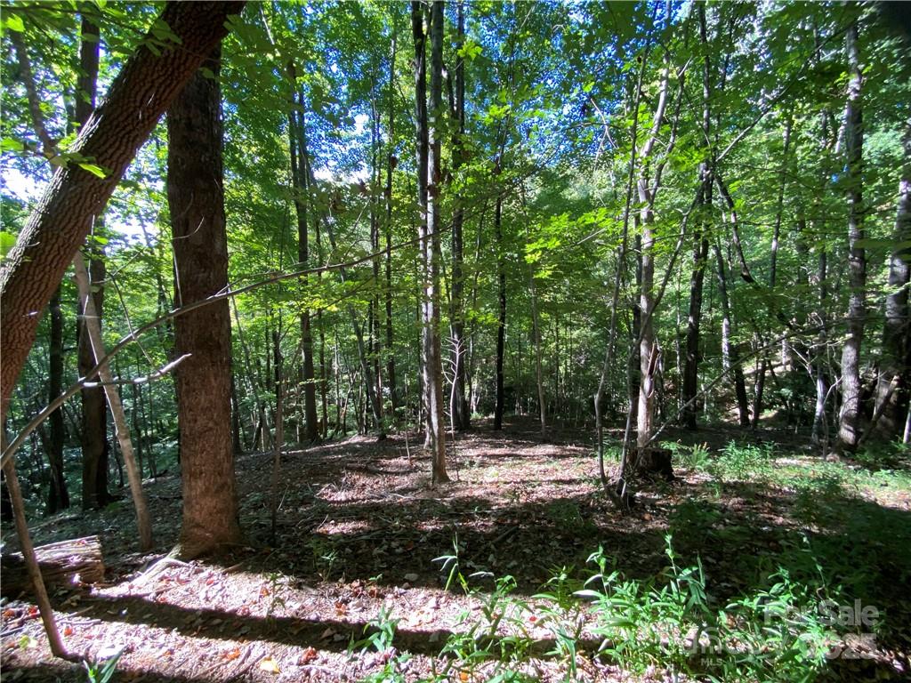 Blue Heron Point - Land