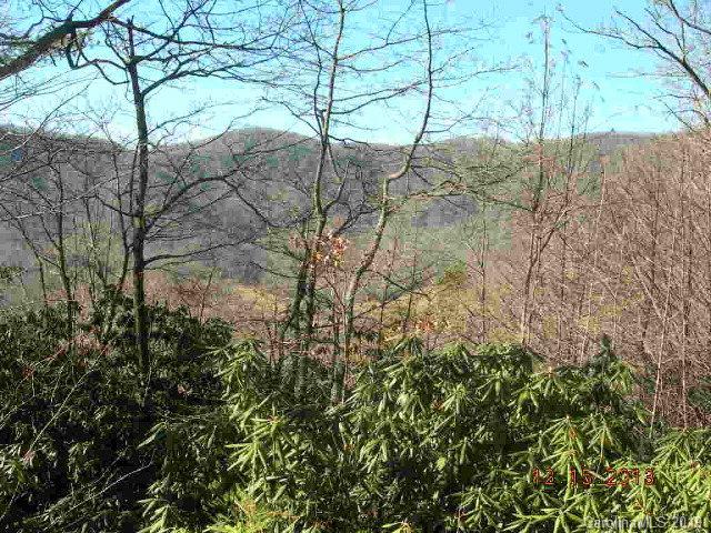 Linville Forest - Commercial Sale