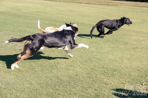 River Hills - Residential