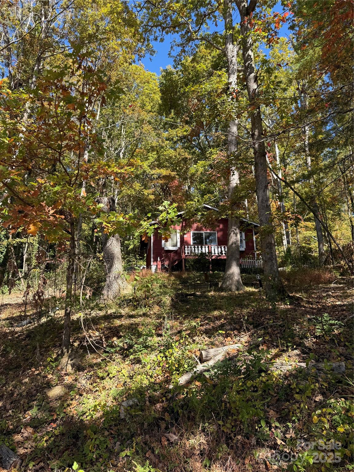 202 Lyndhurst Drive