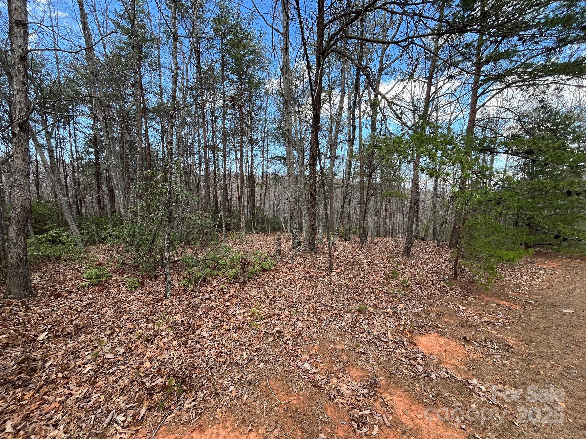 00 Grouse Ridge Drive