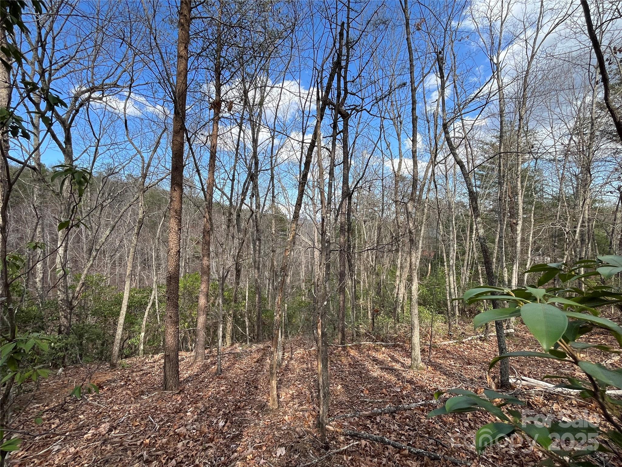 00 Grouse Ridge Drive