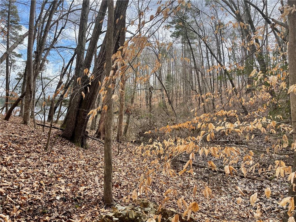 Lot 91 TIDEWATER Court 91