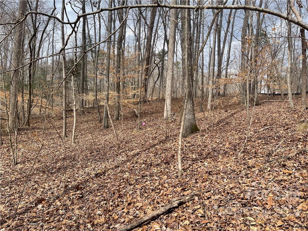 Lot 91 TIDEWATER Court 91