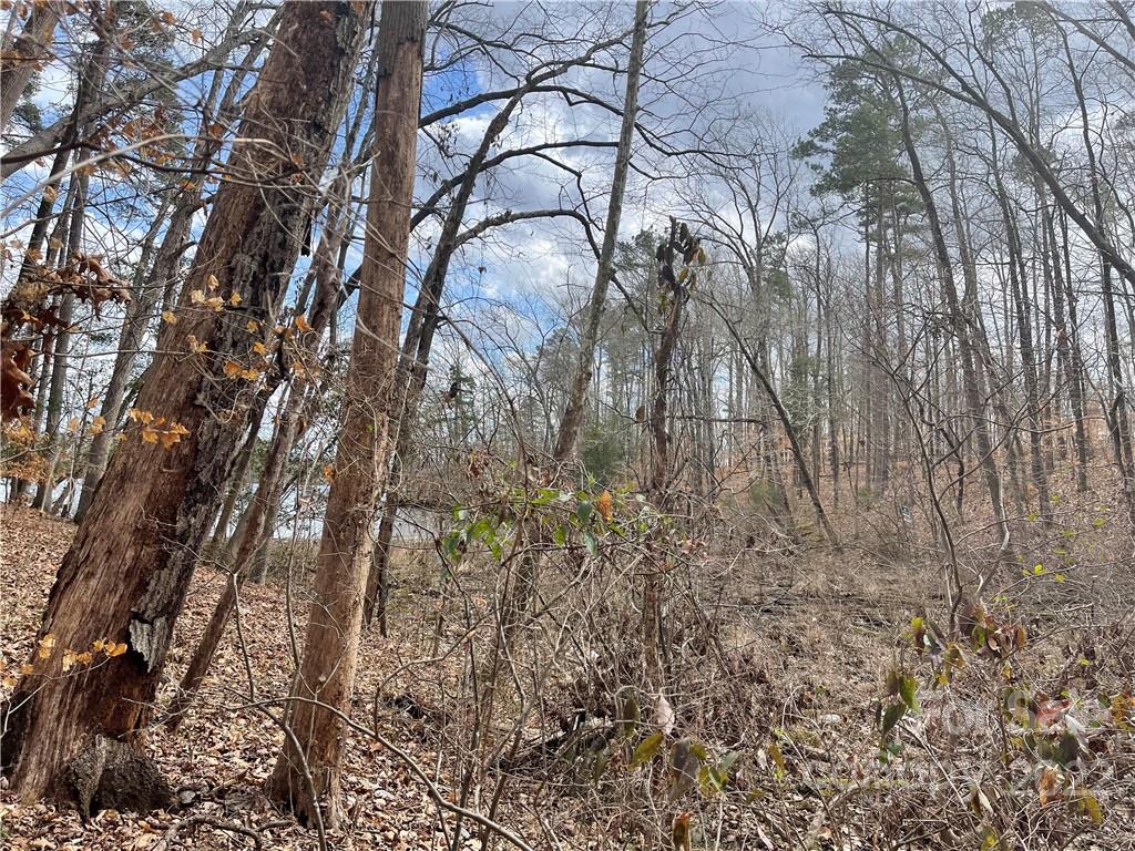 Lot 91 TIDEWATER Court 91