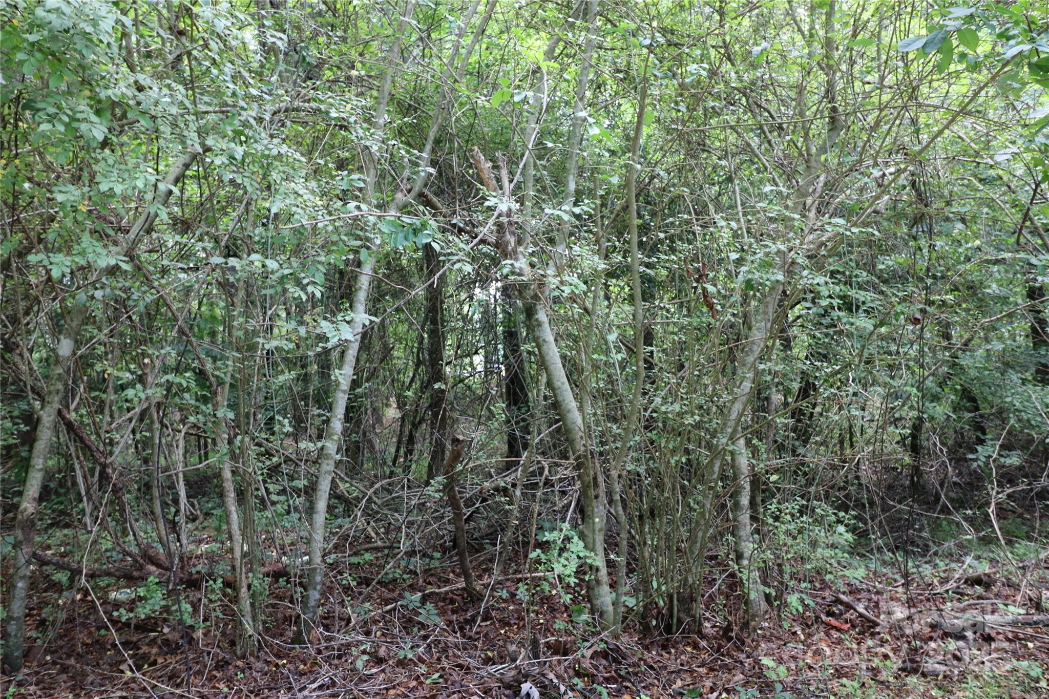 Whispering Pines - Land