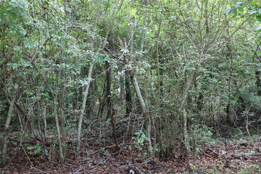 This lot is in a very nice area at the end of Shady Nook road in the  Whispering Pines subidivision. Close to Ingles grocery store and shopping in downtown Forest City. Quick access to HWY 74 with Cities such as Charlotte, Asheville, Hendersonville and Greenville SC within about 1 hour driving time away.