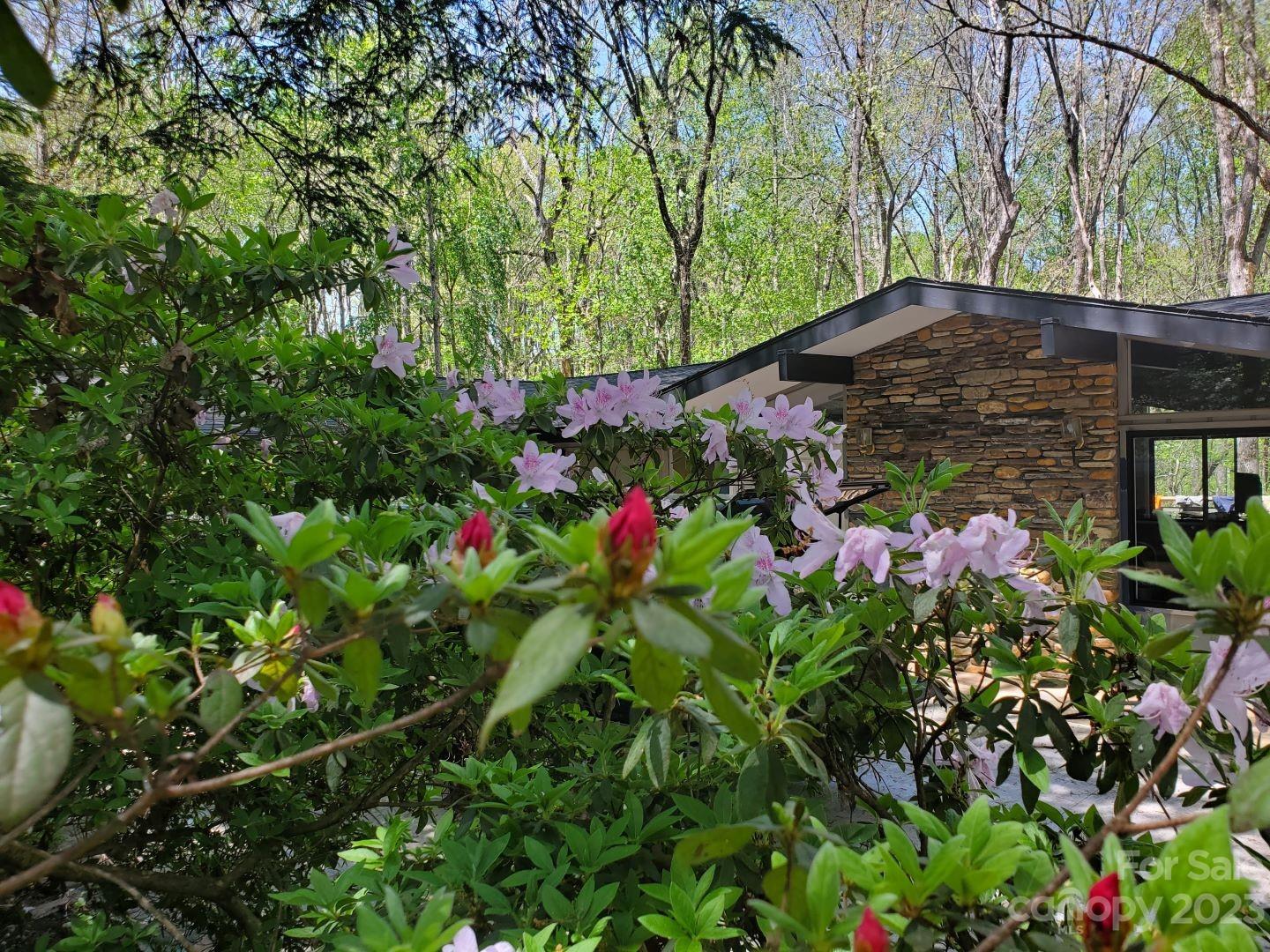 Woodland Terrace - Residential