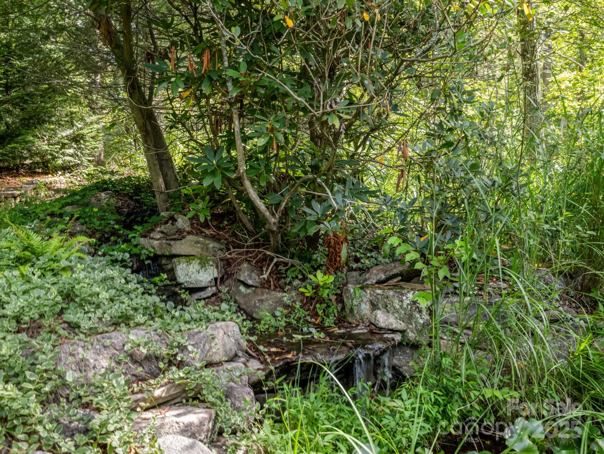 194 Bear Creek Drive