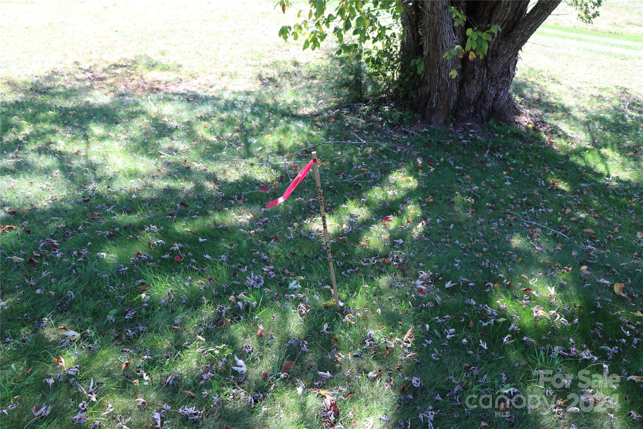 00 Greenview Drive 2