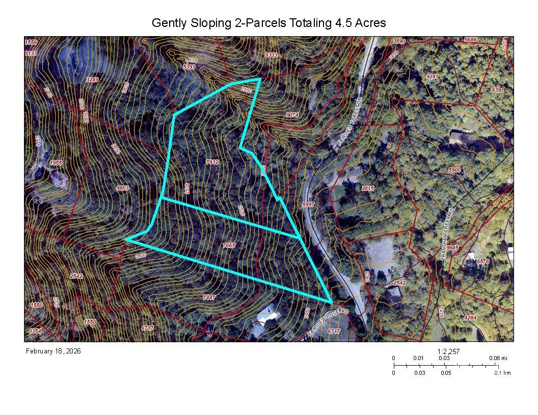 Fairview Forest - Land