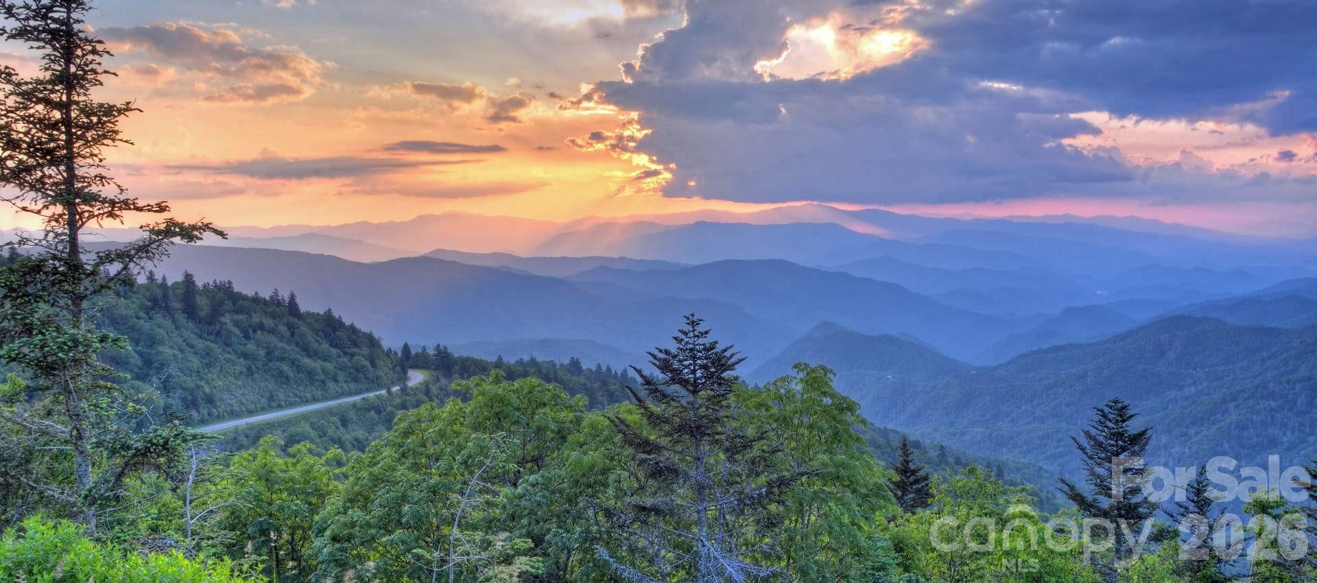 Fairview Forest - Land