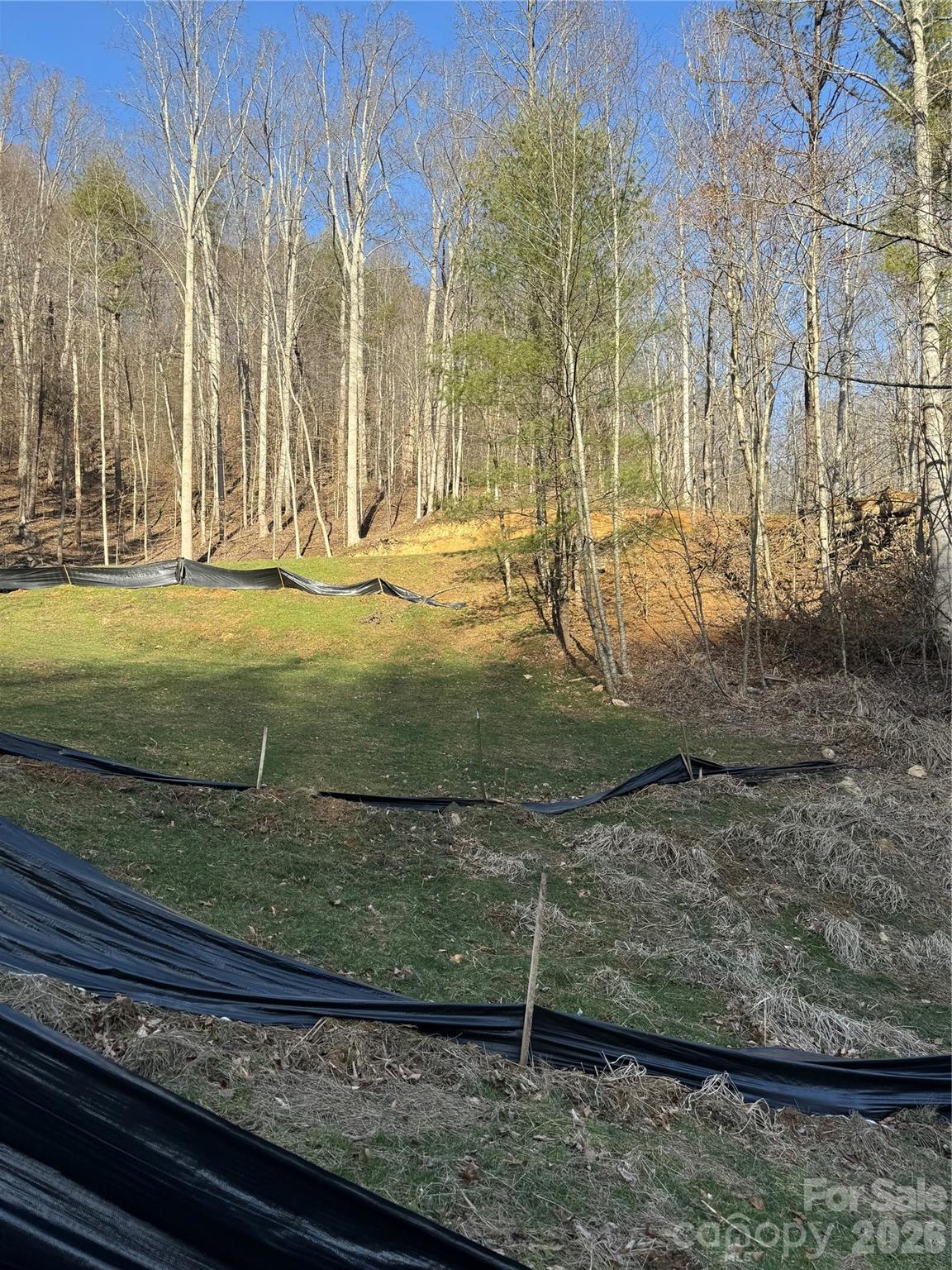 890 Fisher Branch Road