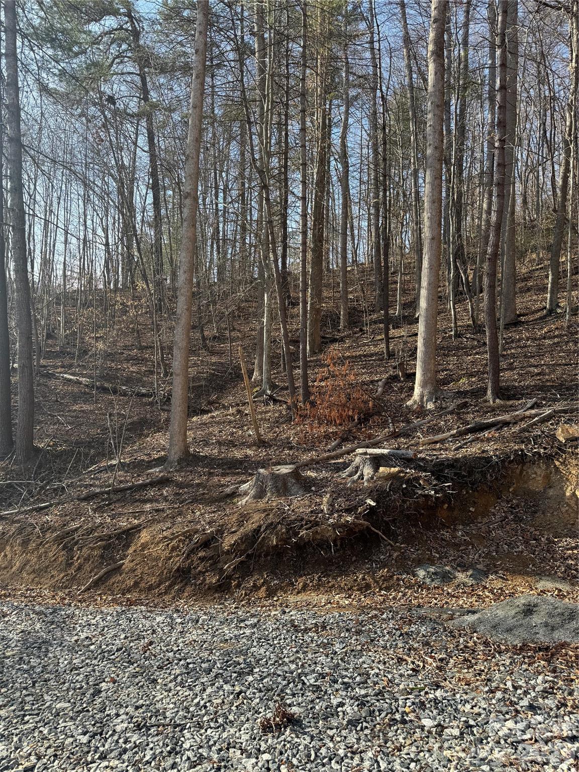 890 Fisher Branch Road