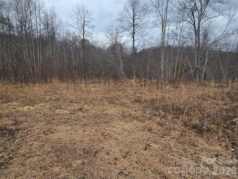 138 Fairlane Loop 19 Whittier NC 28789