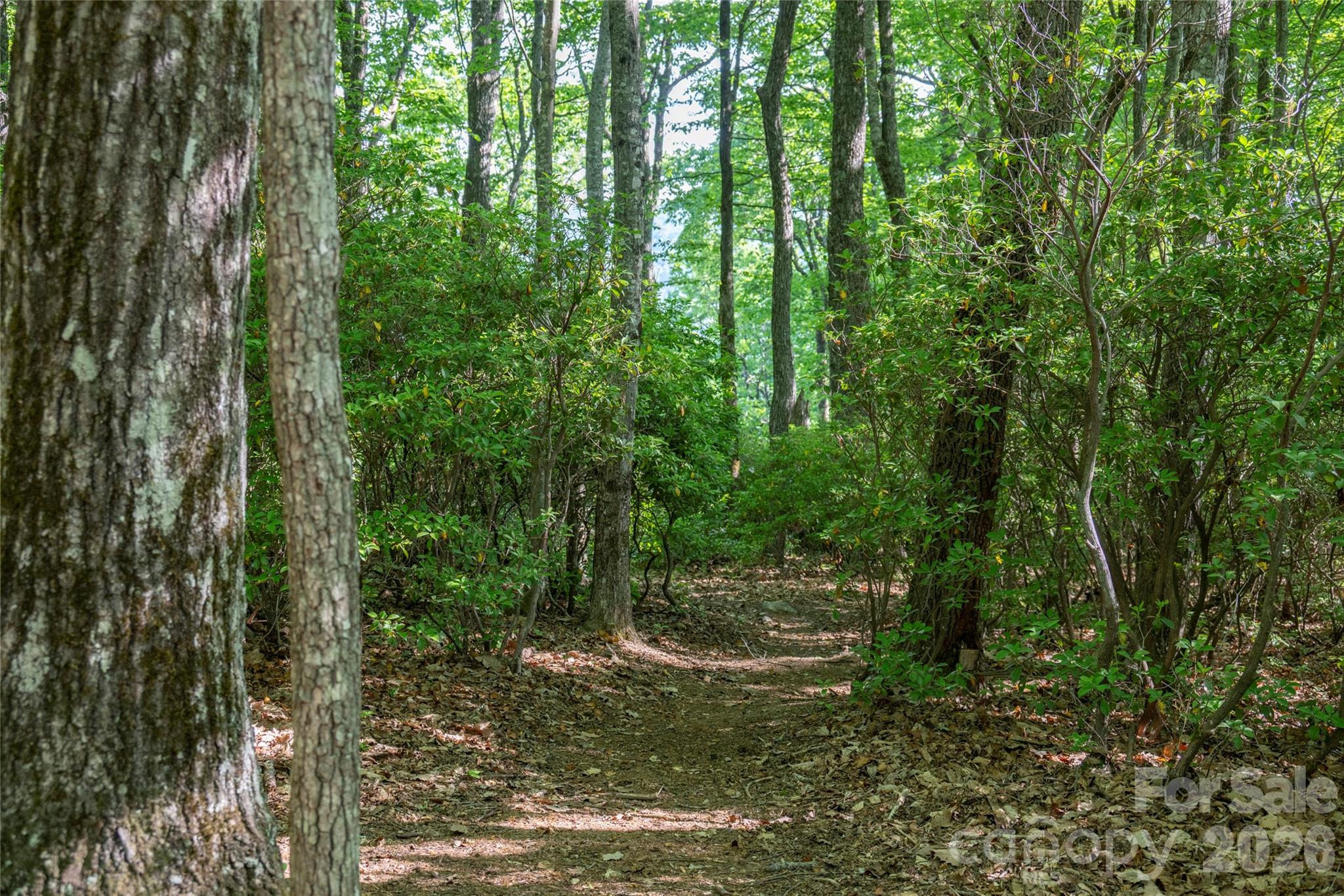 Lake Toxaway Estates - Land