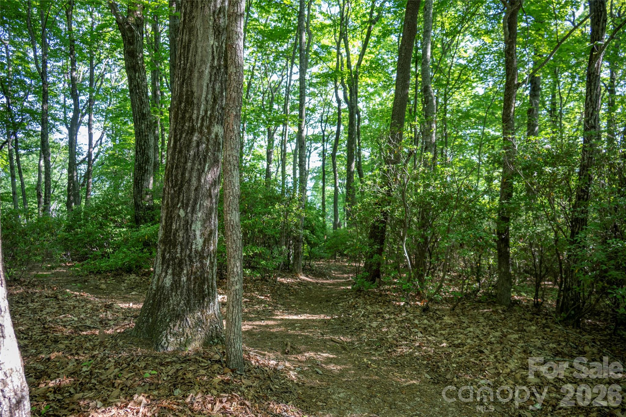 Lake Toxaway Estates - Land