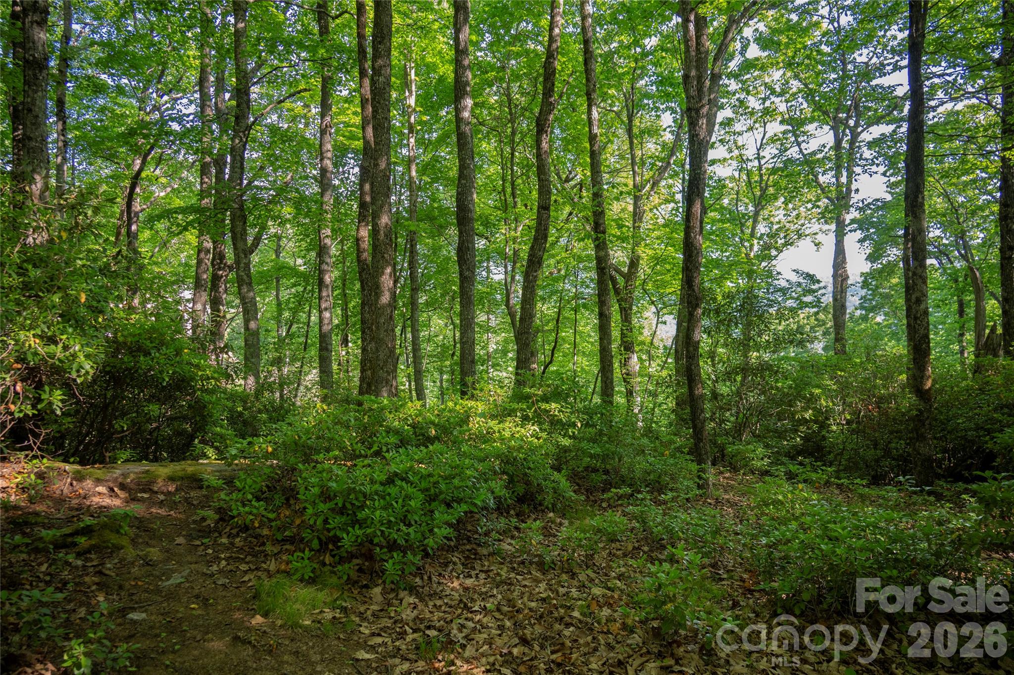 Lake Toxaway Estates - Land