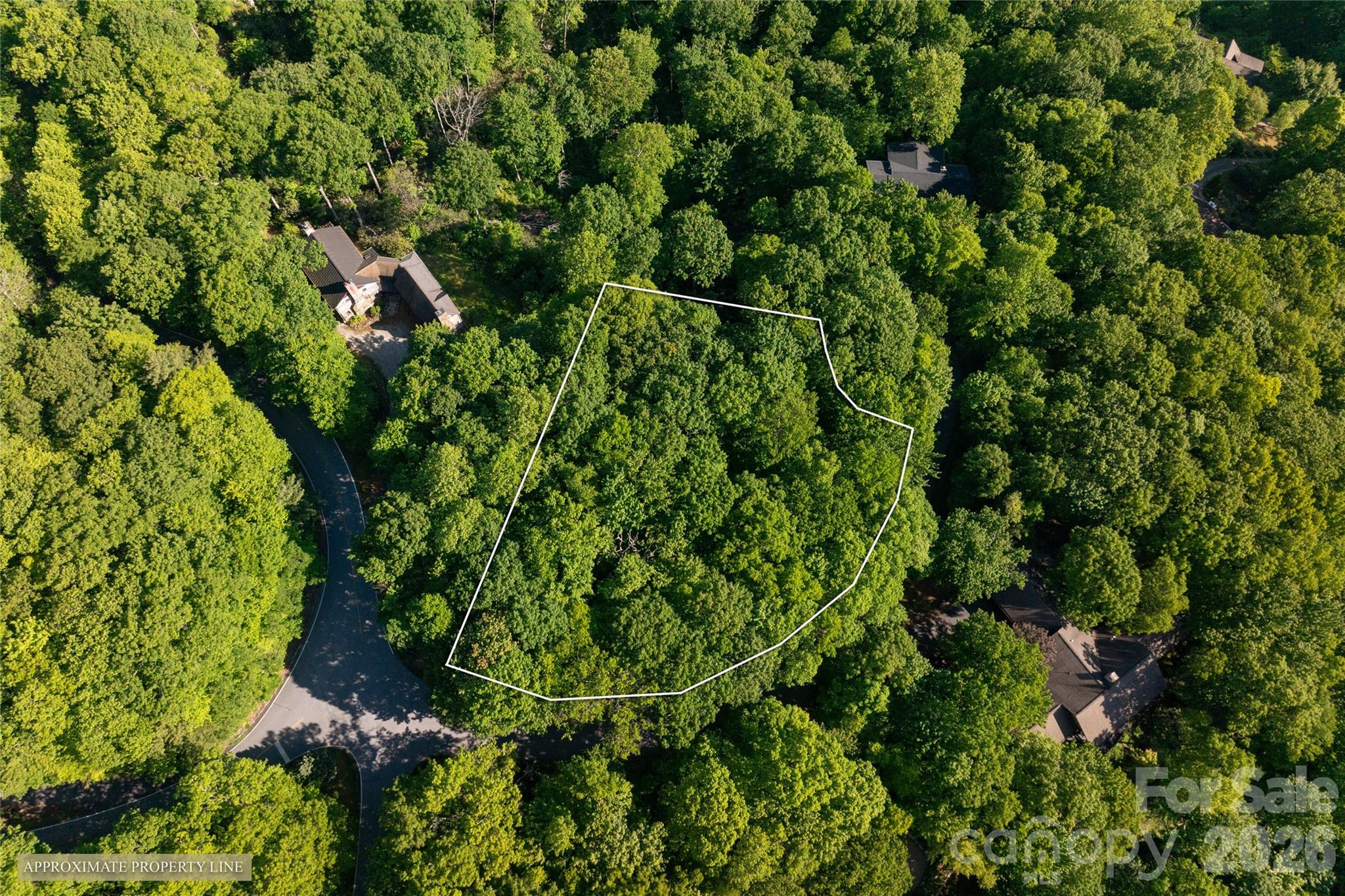 Lake Toxaway Estates - Land
