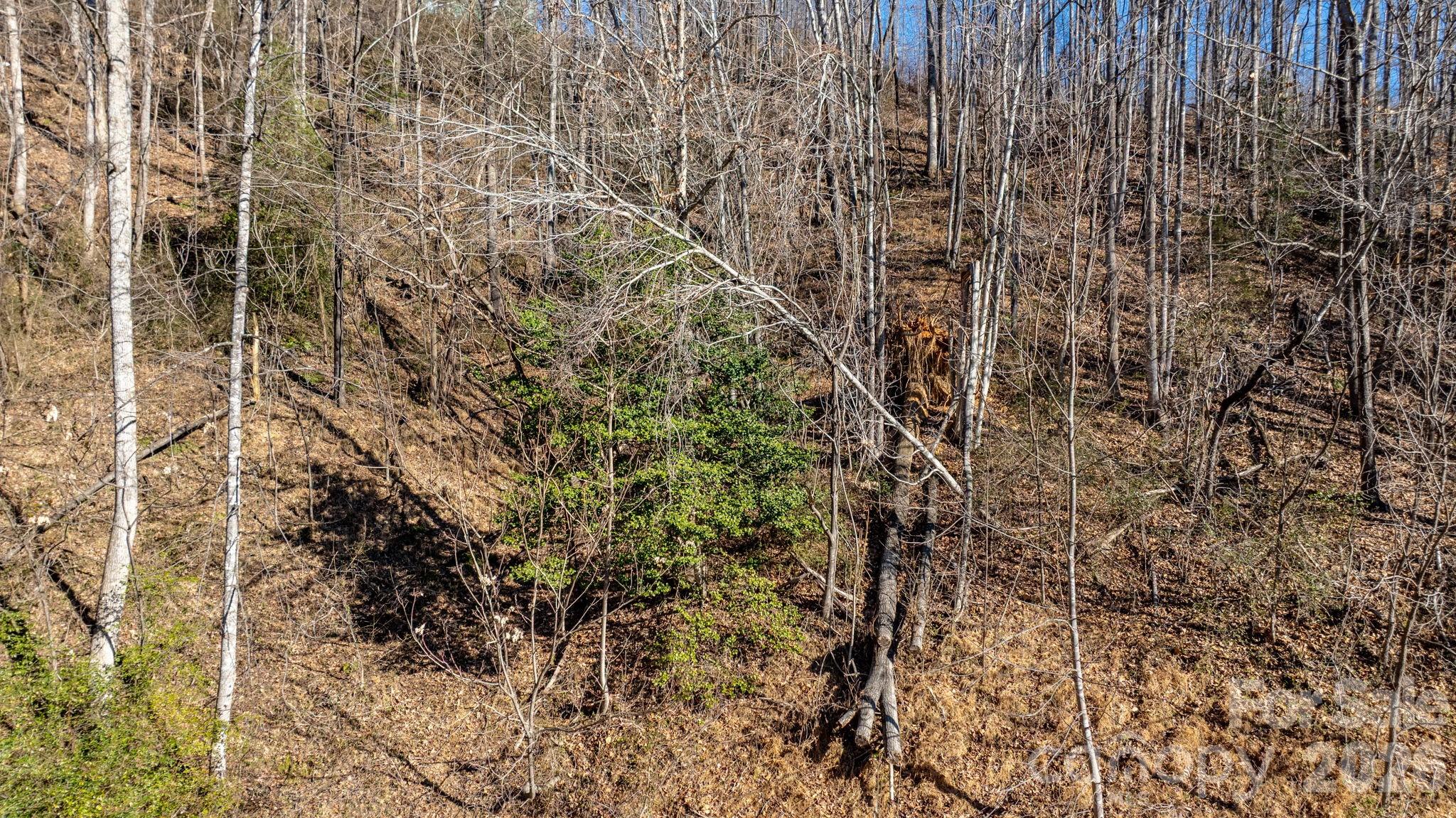 The Coves Mountain River Club - Land