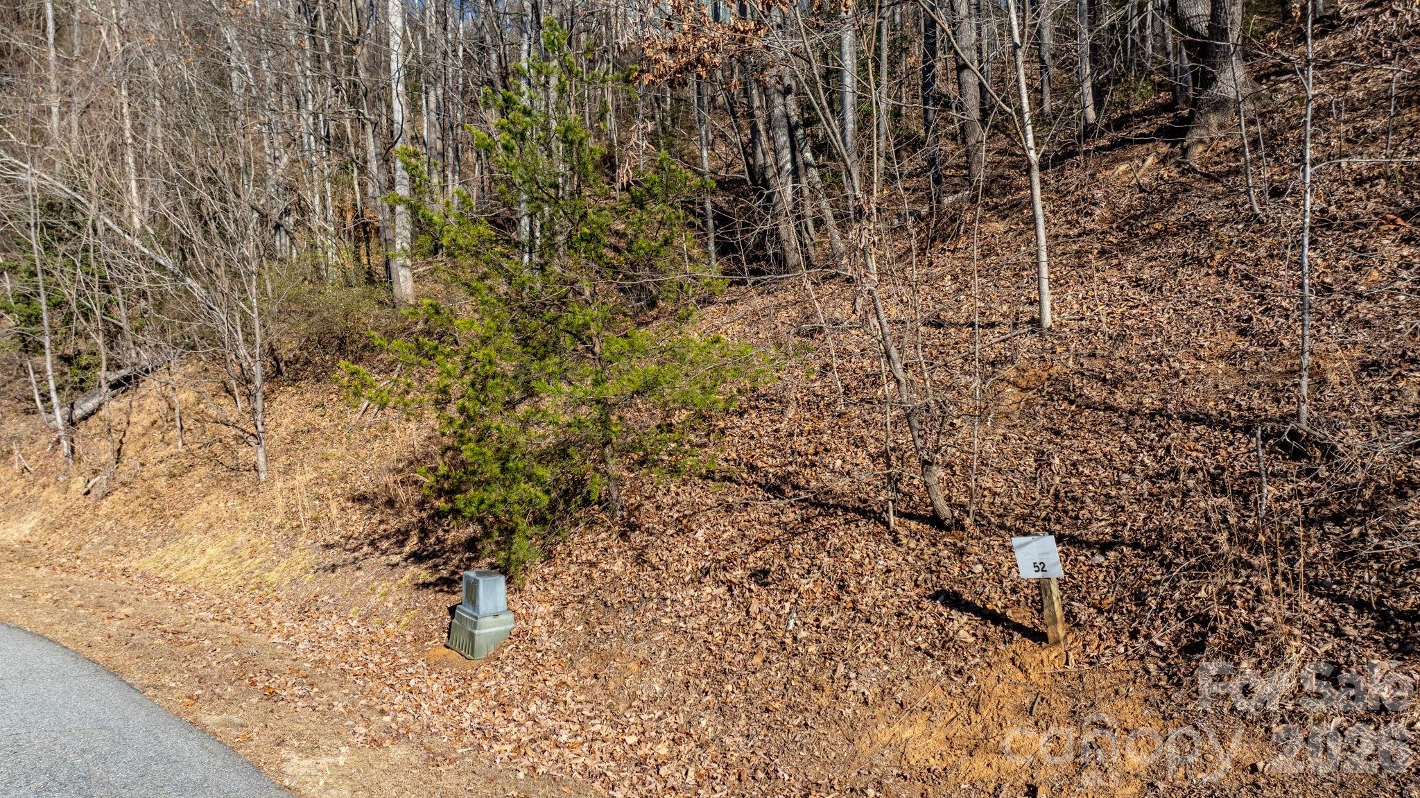 The Coves Mountain River Club - Land
