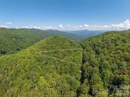 433 ROCKMONT RD, WAYNESVILLE, NC 28785 - Image 358b3a545a96b9fa71a0954dc25c426f/2011820882