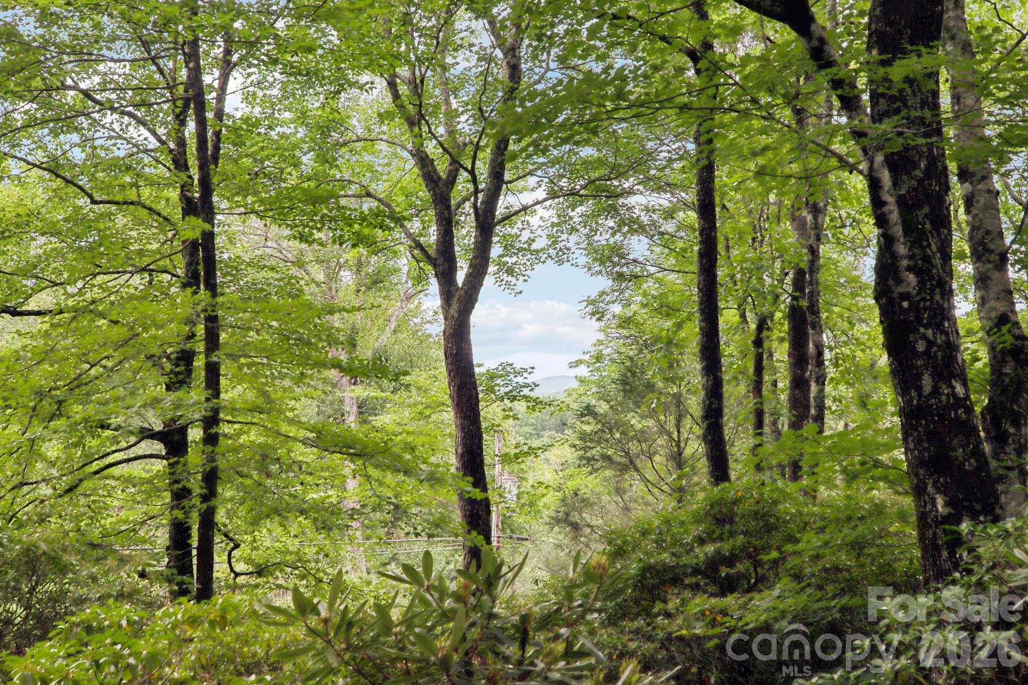 Mount Mitchell Lands - Residential