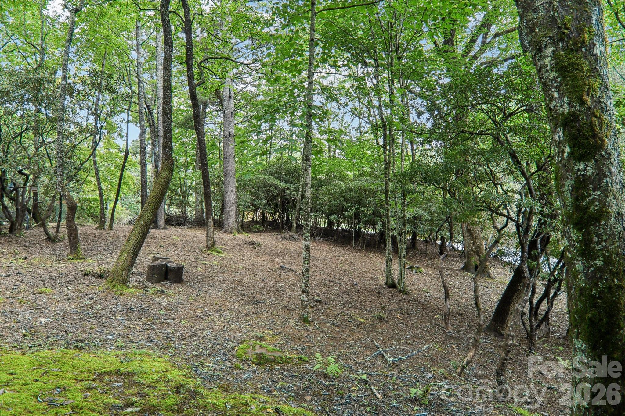 Mount Mitchell Lands - Residential