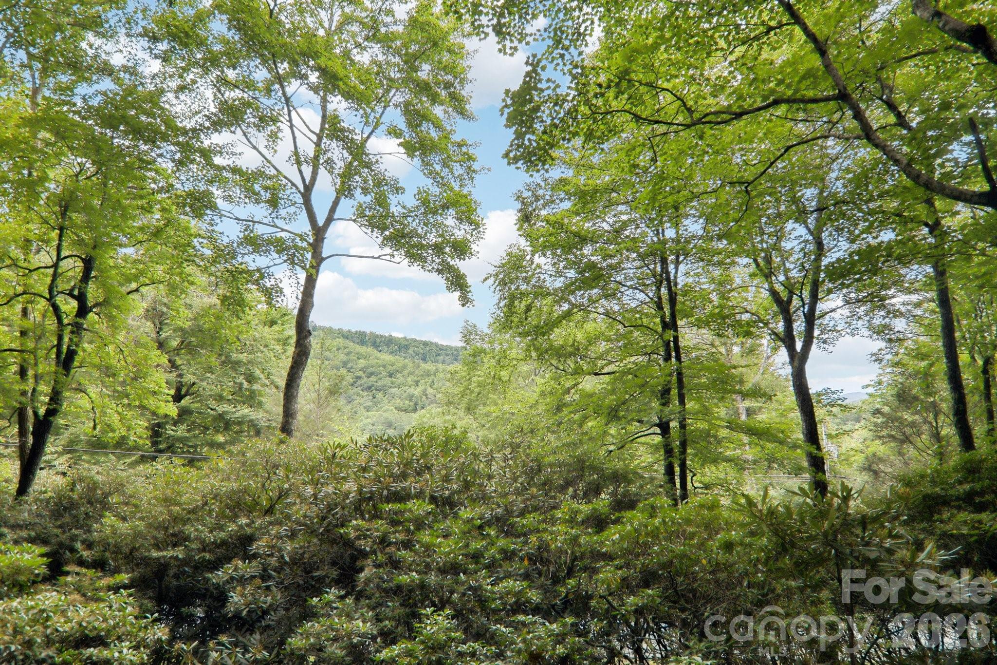 Mount Mitchell Lands - Residential