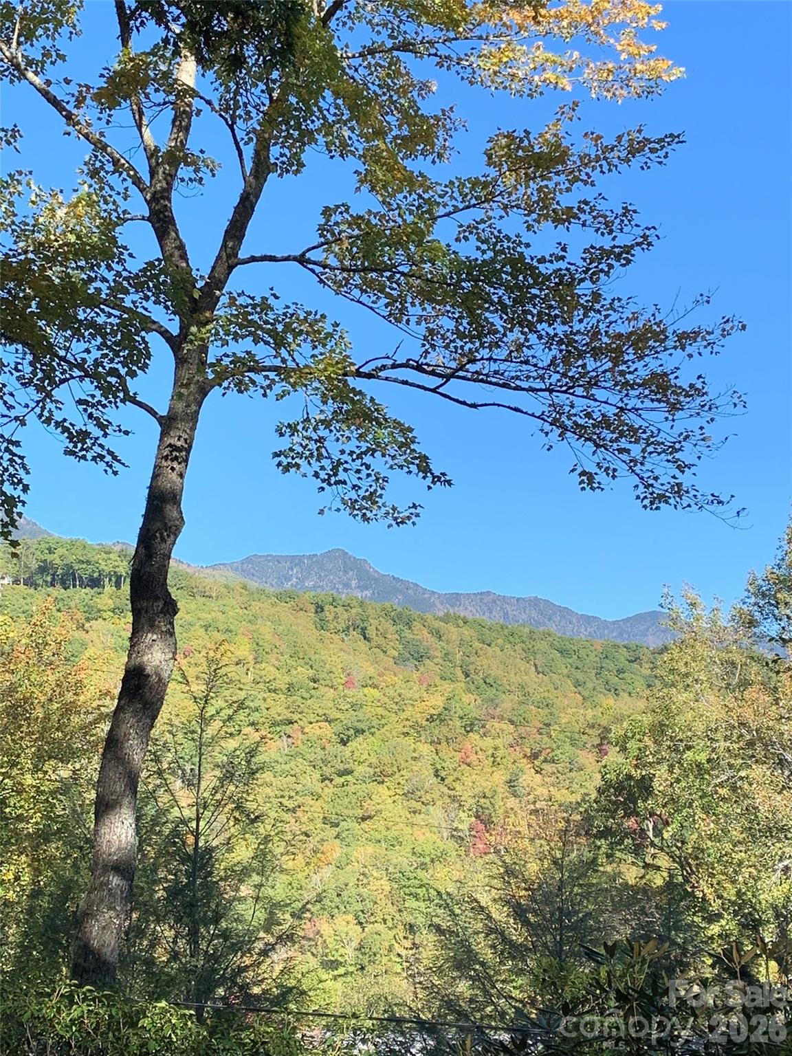 Mount Mitchell Lands - Residential