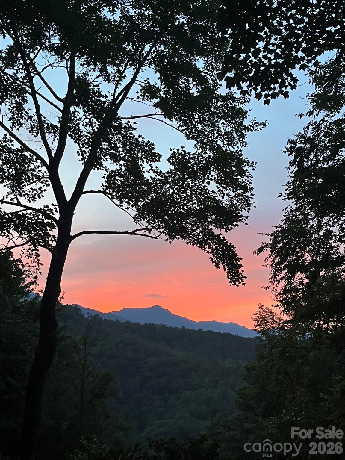 19 High Terrain Drive