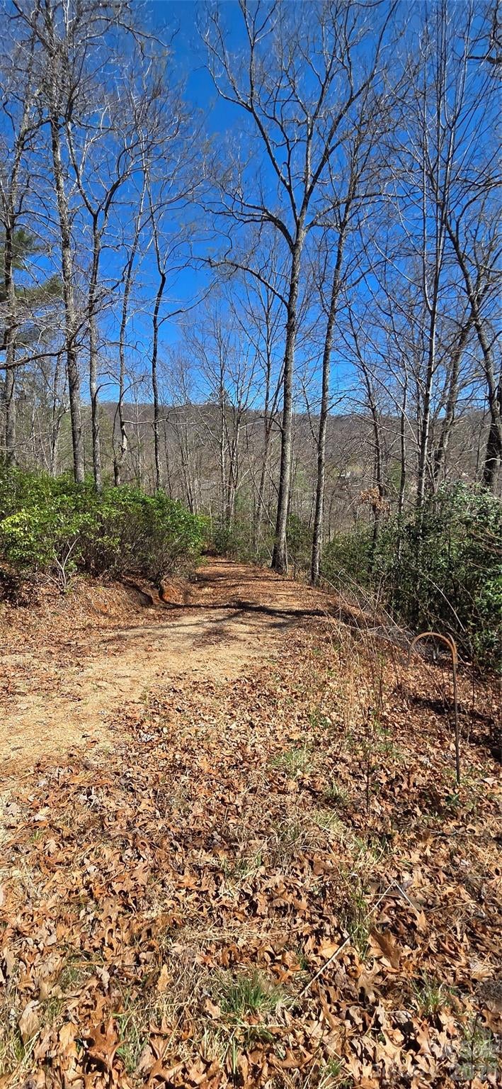 90 Kimiko Lane S Unit 30&31, Balsam Grove, NC, 28708