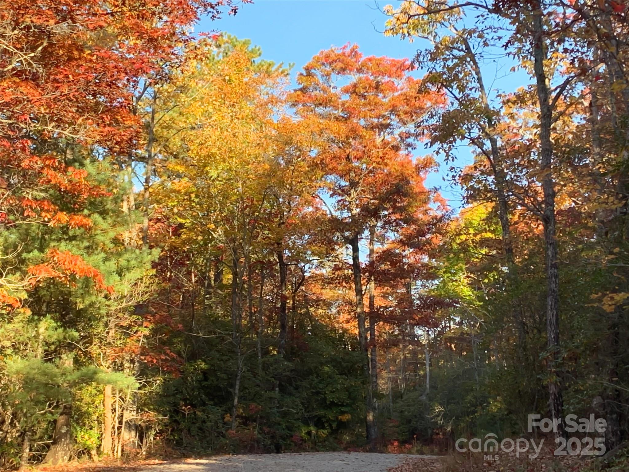 Richland Ridge - Residential