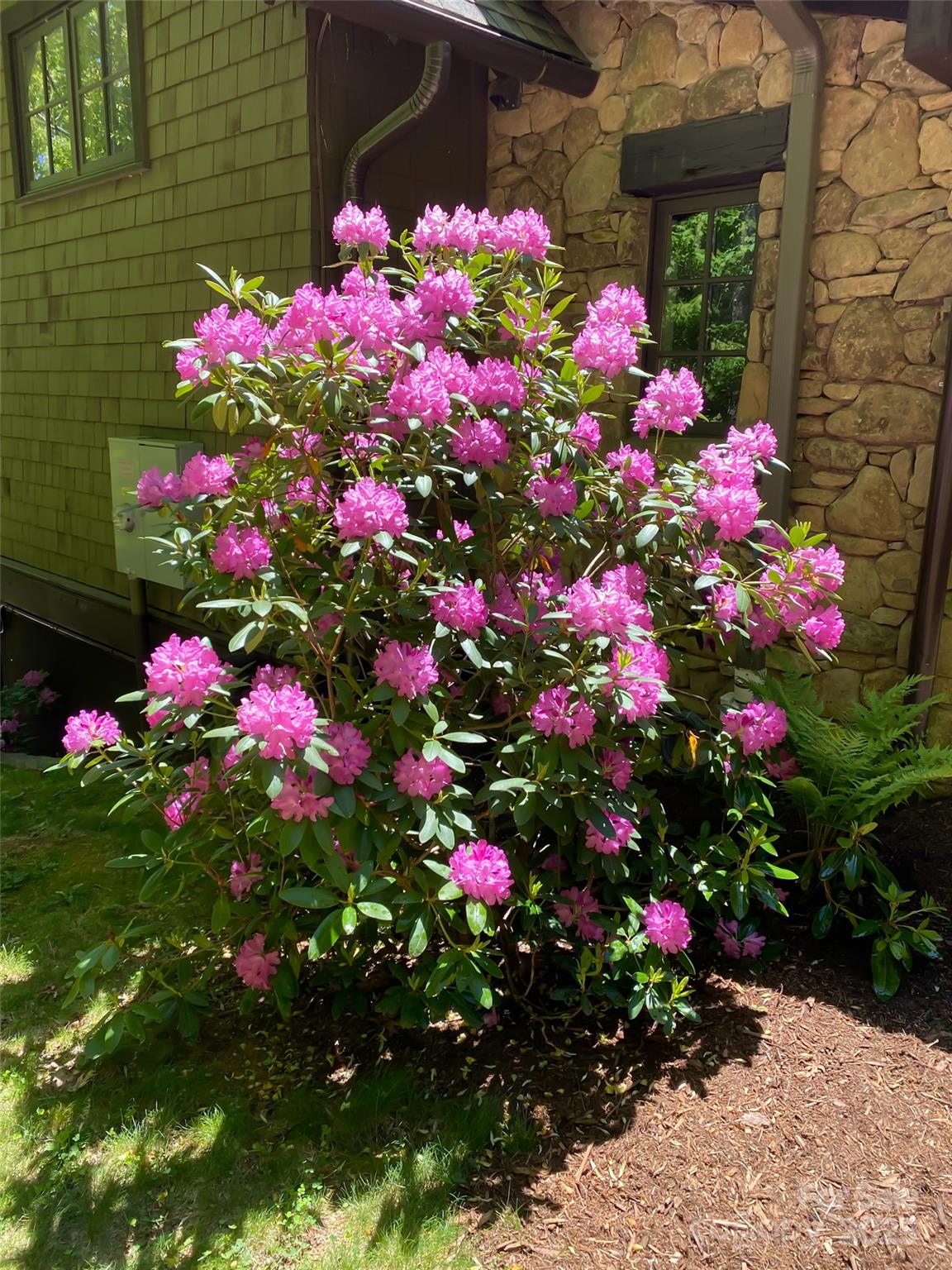 Richland Ridge - Residential