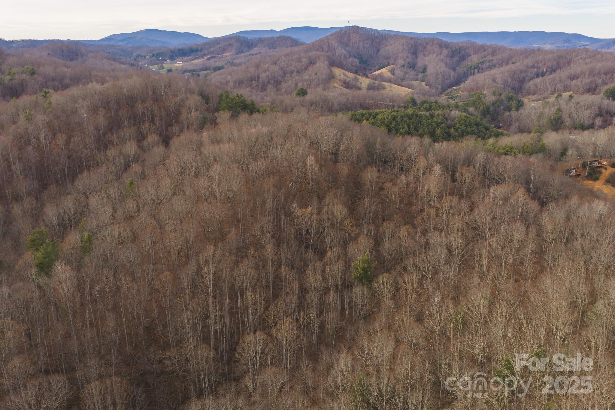 0 Foster Oliver Lane