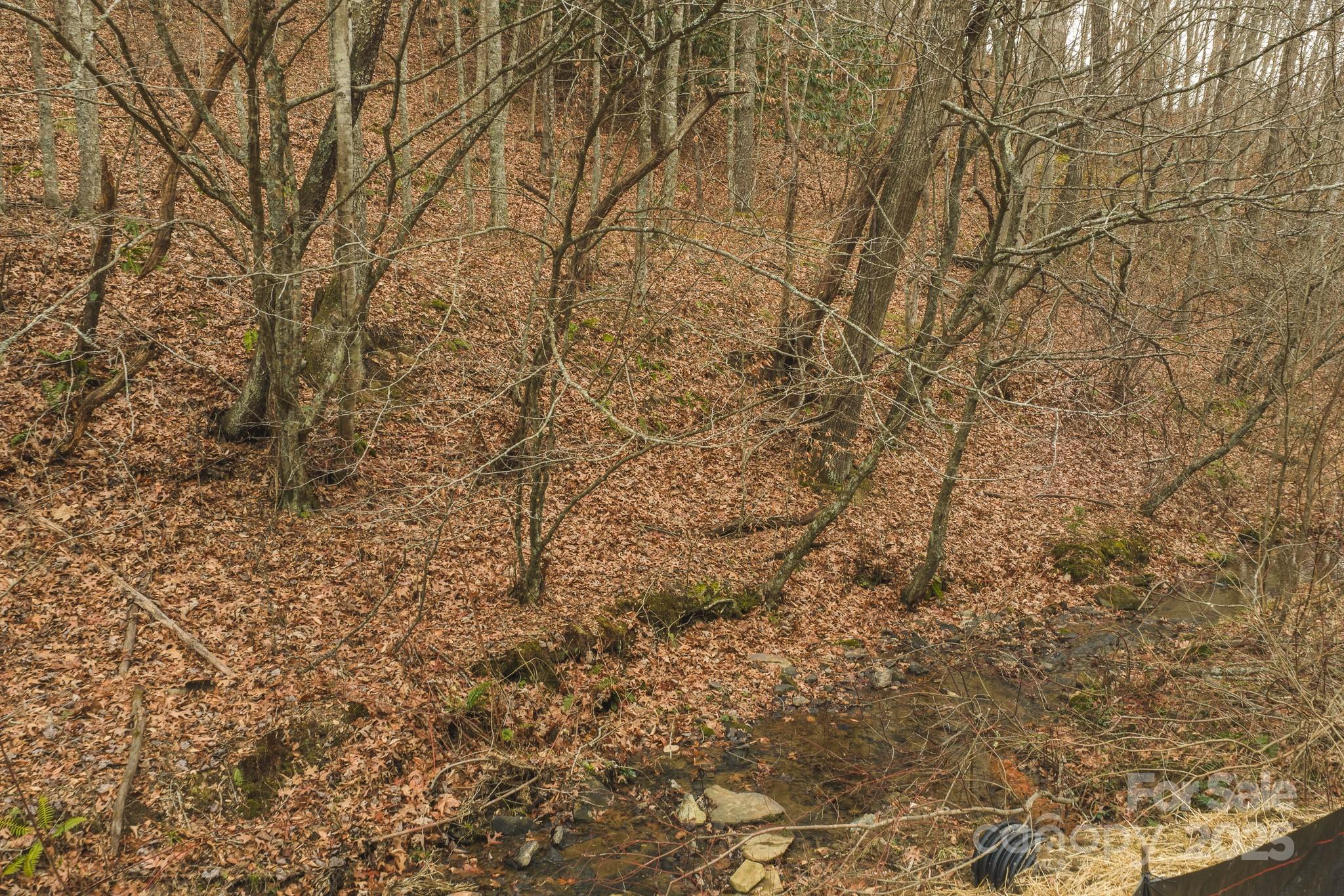 0 Foster Oliver Lane