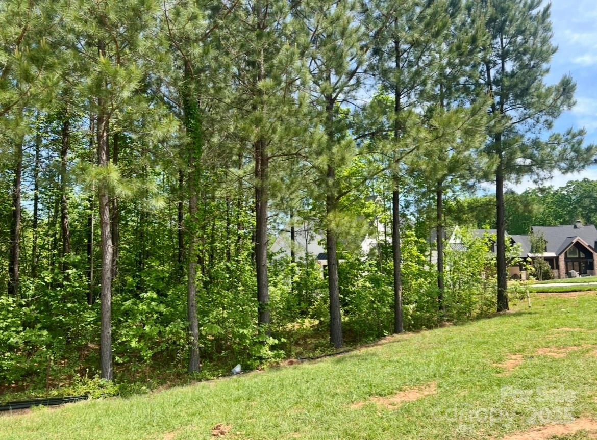 133 Addison Emory Lane 18