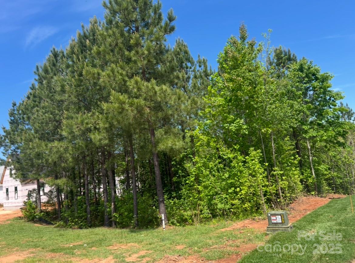 133 Addison Emory Lane 18