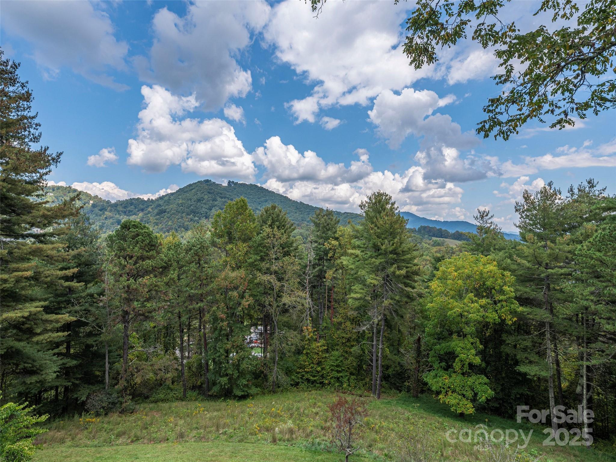 Lake Junaluska Assembly - Residential
