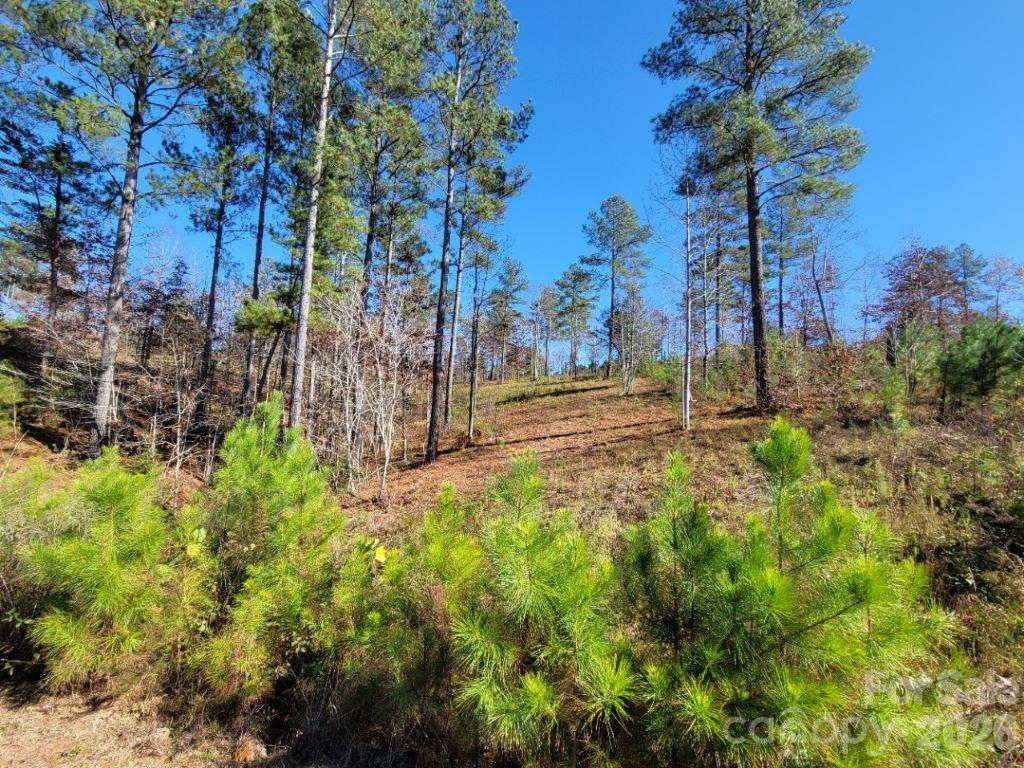 Island Pointe at Lake Vistas - Land