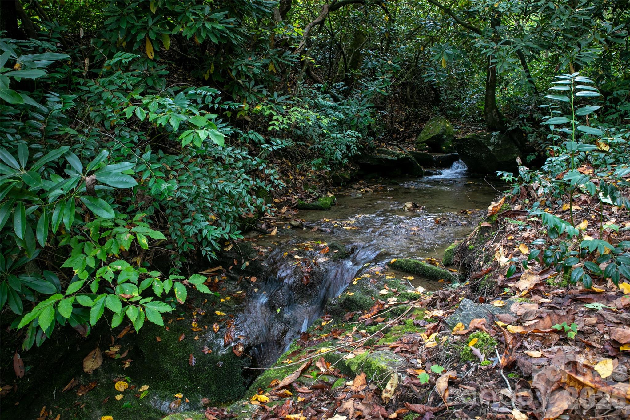 Connestee Falls - Residential