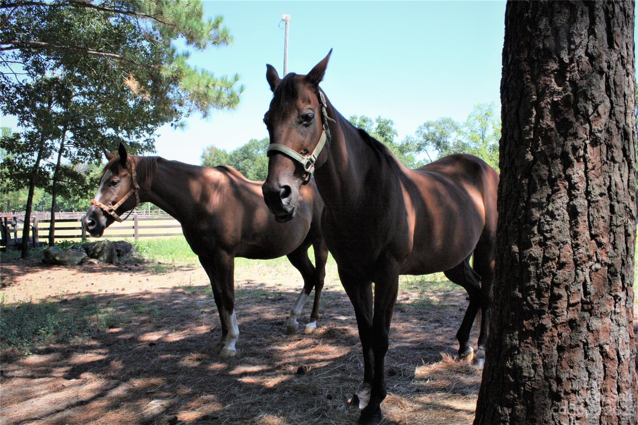 Irongate Farm - Land