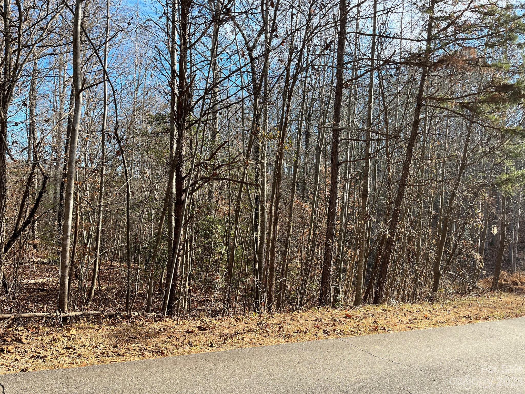 Buffalo Shoals Natl Golf Club - Land