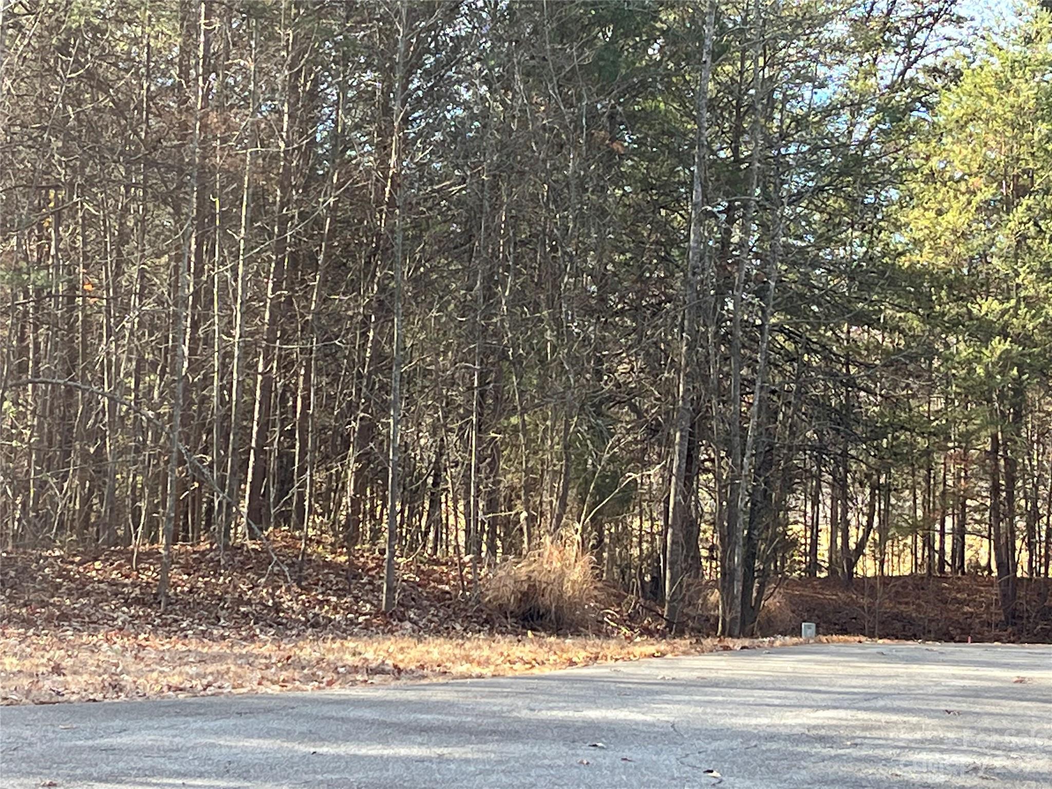 Buffalo Shoals Natl Golf Club - Land