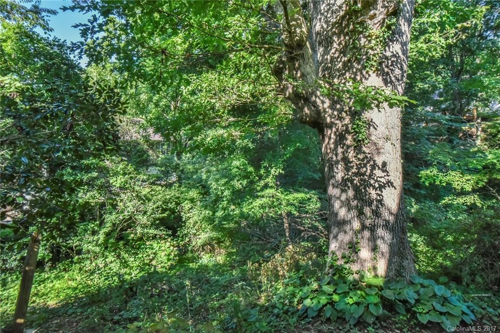 West Asheville - Residential