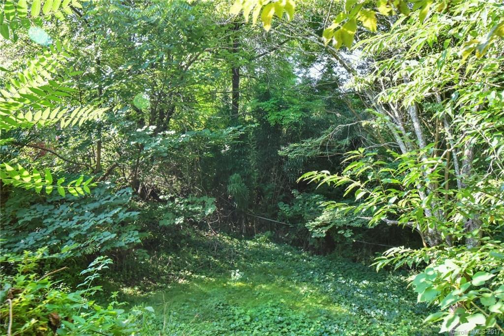 West Asheville - Residential