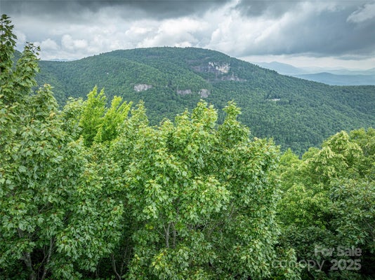 000 MEADOW RIDGE DRIVE # L9, LAKE TOXAWAY, NC 28747 - Image 35ee2a01a88acd2eeabd087298b69f2e/1347181419