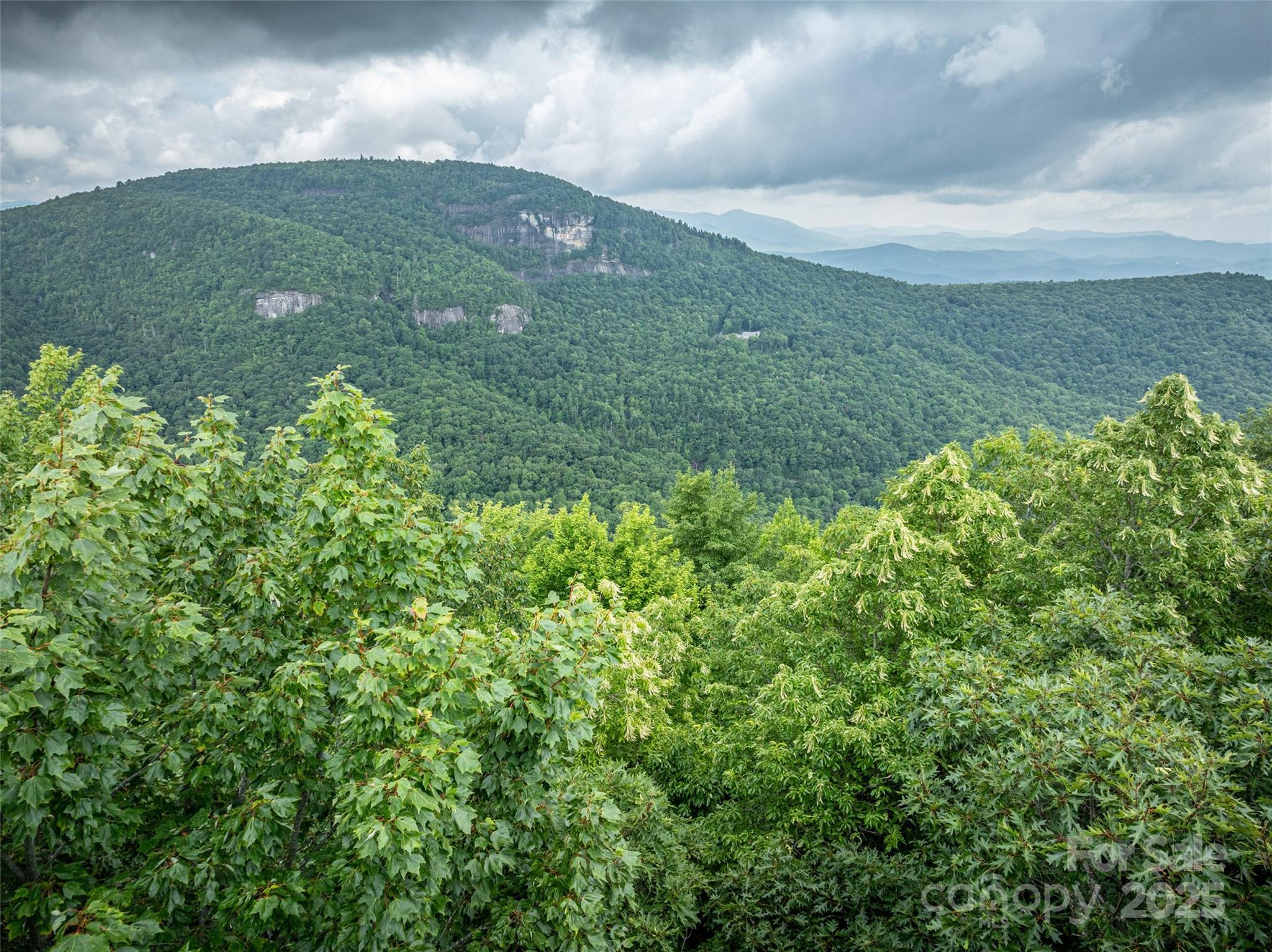 Lake Toxaway Estates - Land